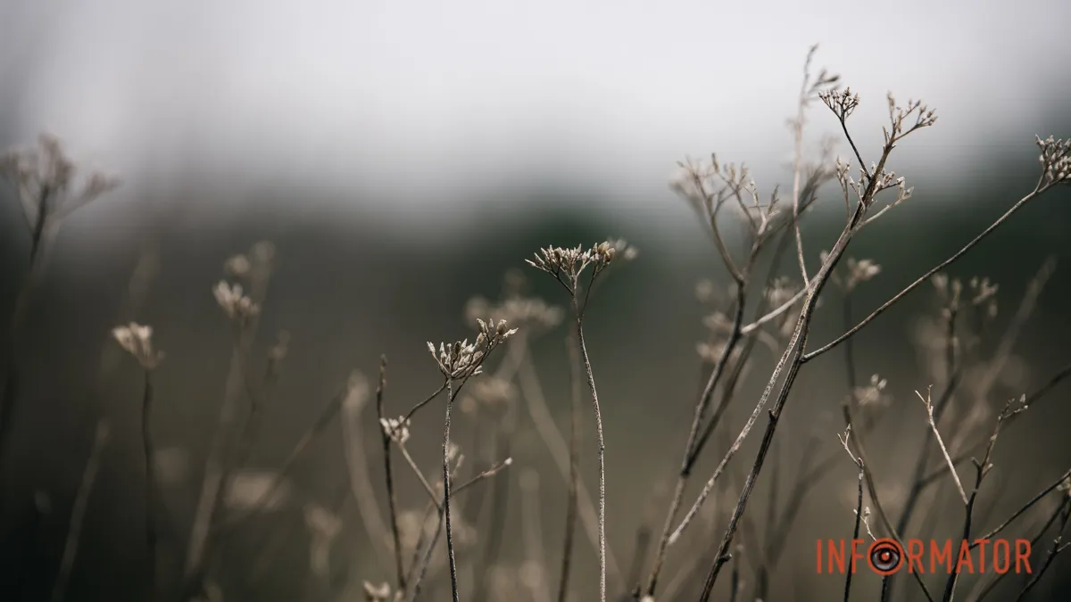 Погода на 28 марта: в Днепре будет облачно с прояснениями