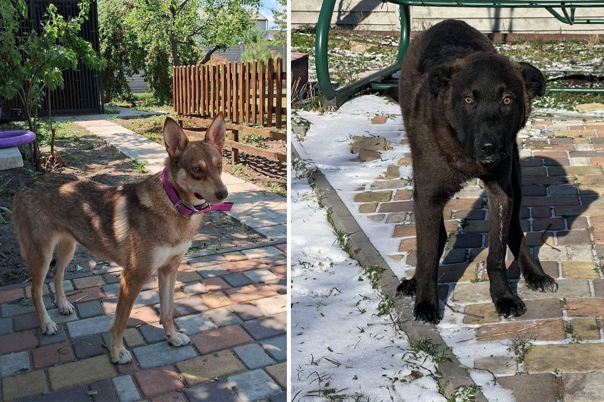 Миниубежище "Лучик надежды"