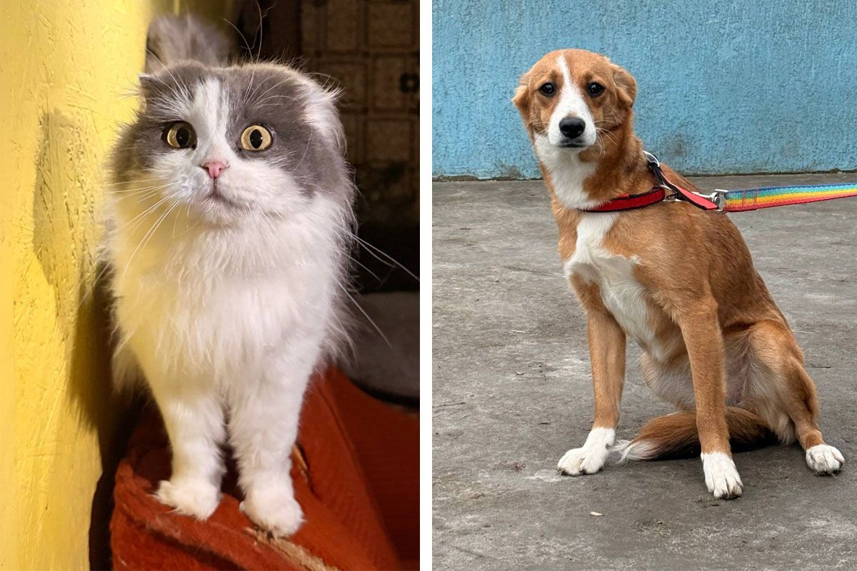 Возможно, они ждут именно вас