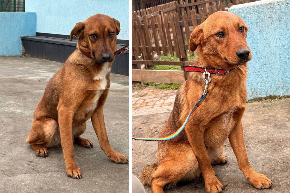 Просто взгляните в эти глаза