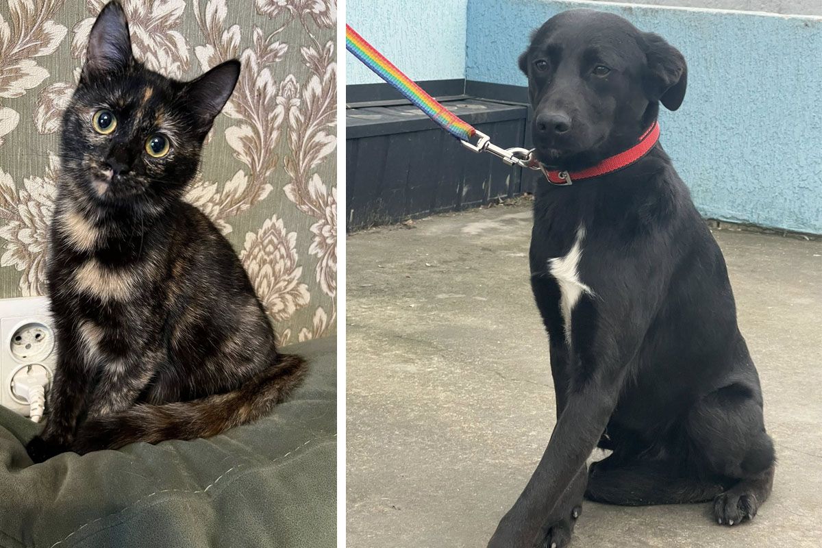 С надеждой на труботу