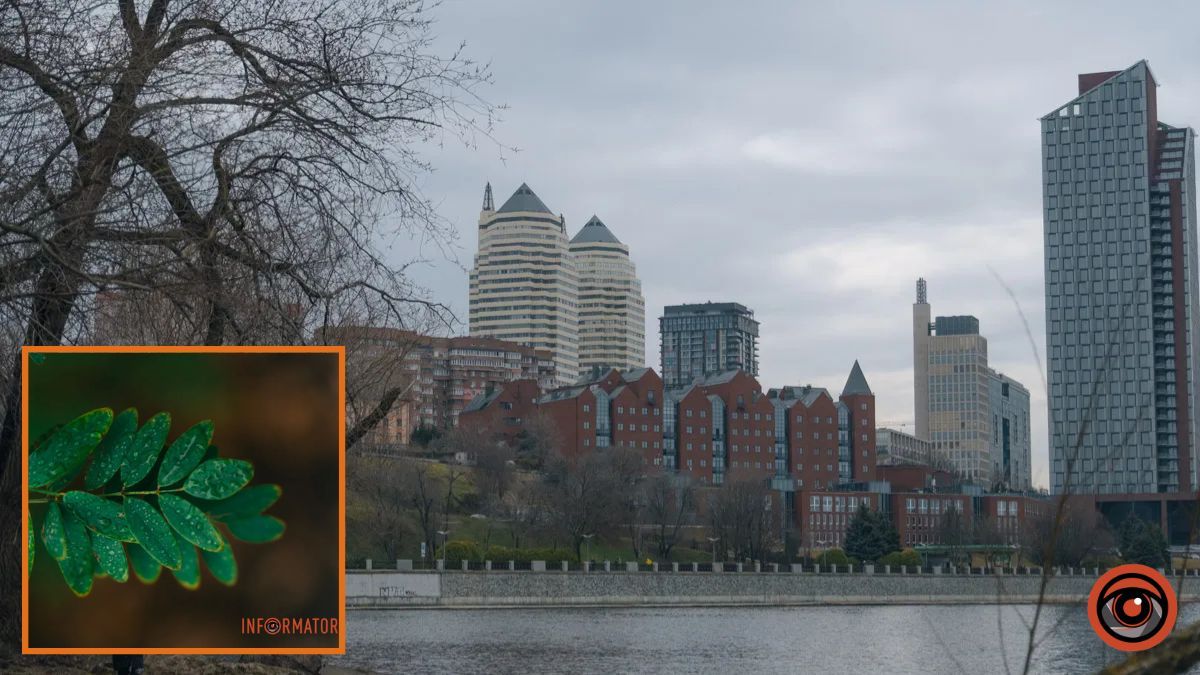 Візьміть парасолю: у Дніпрі зранку 30 березня очікується дощ