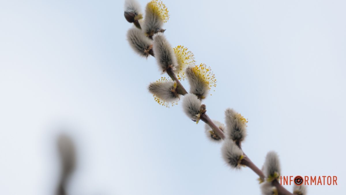Погода на 31 березня: у Дніпрі буде хмарно