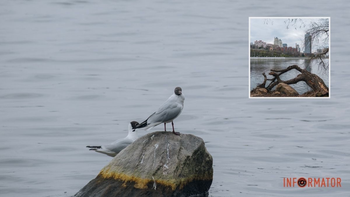 Останній раз так тепло було у 1888 році: Дніпро побив температурний рекорд