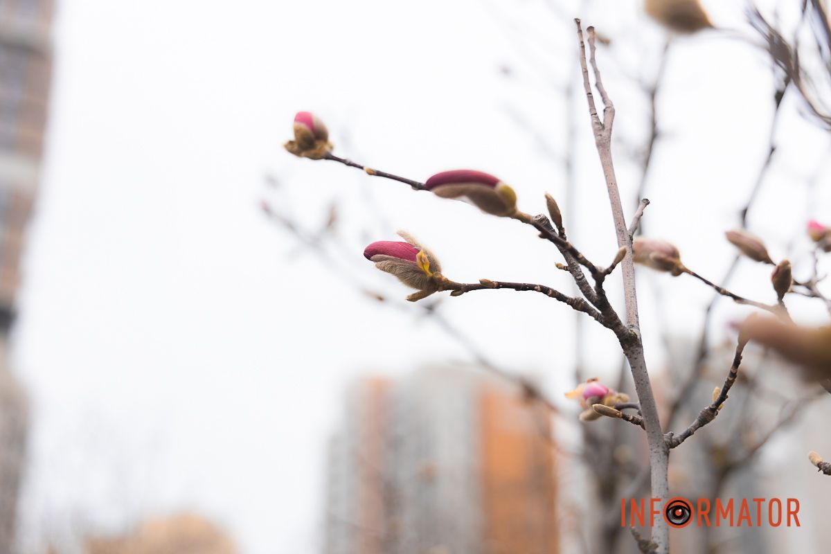 Кріти, що привертають увагу перехожих