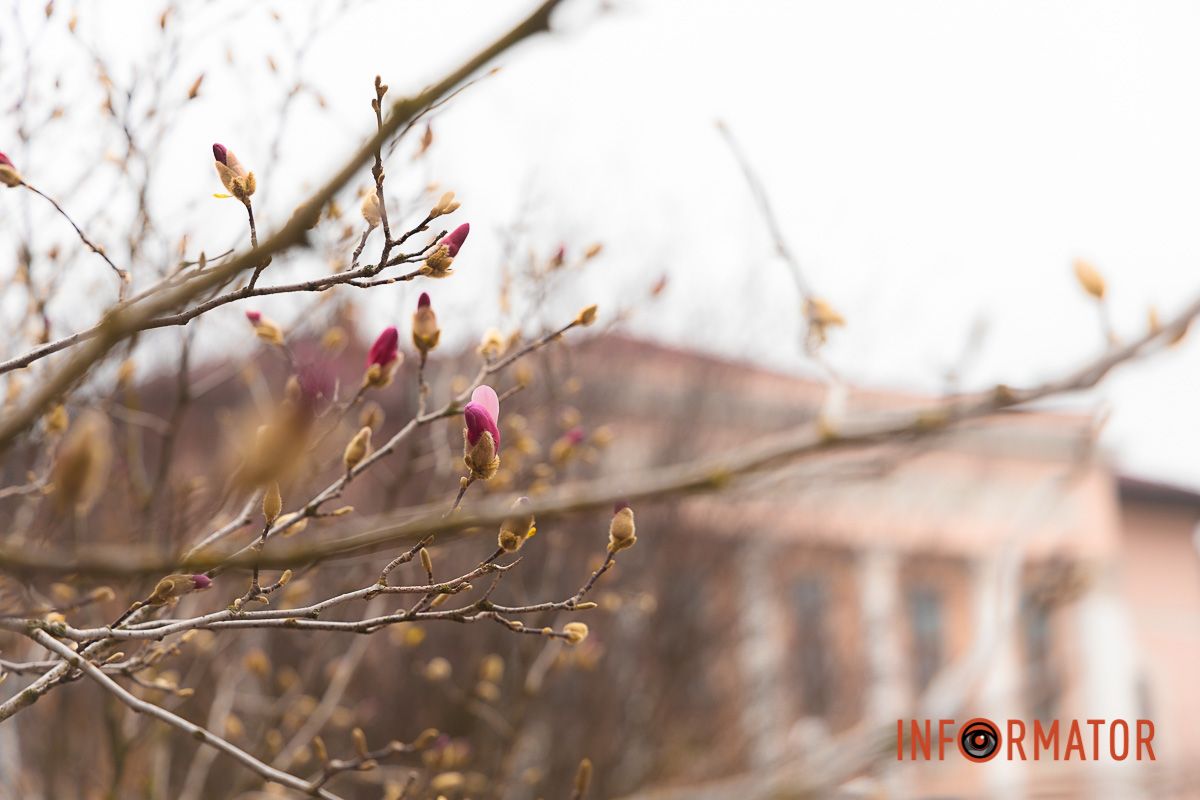 Чудовий настрій 