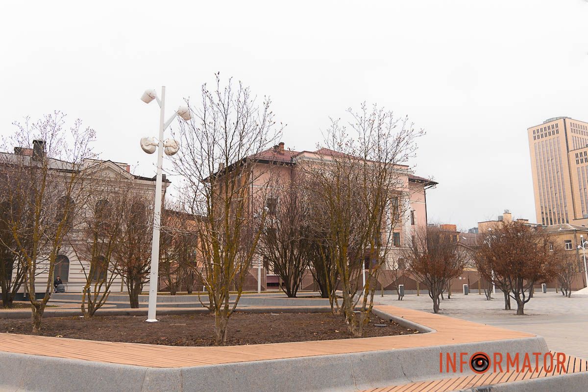 На Успенській площі вже починають цвітіння ці екзотичні красуні