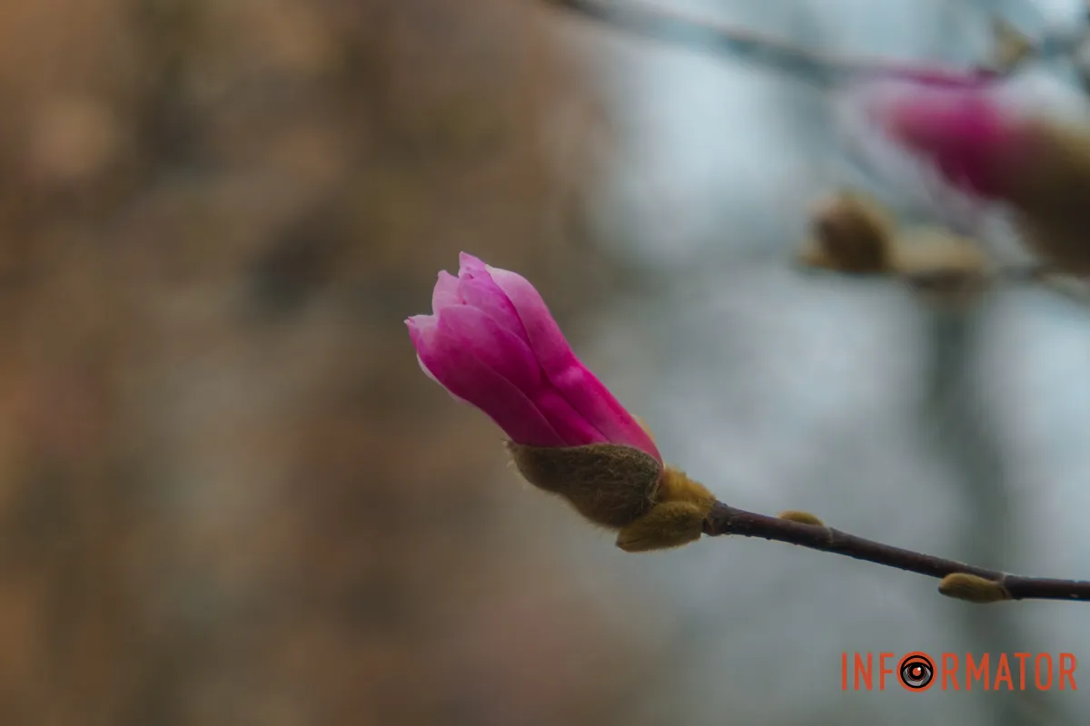 Неймовірна краса