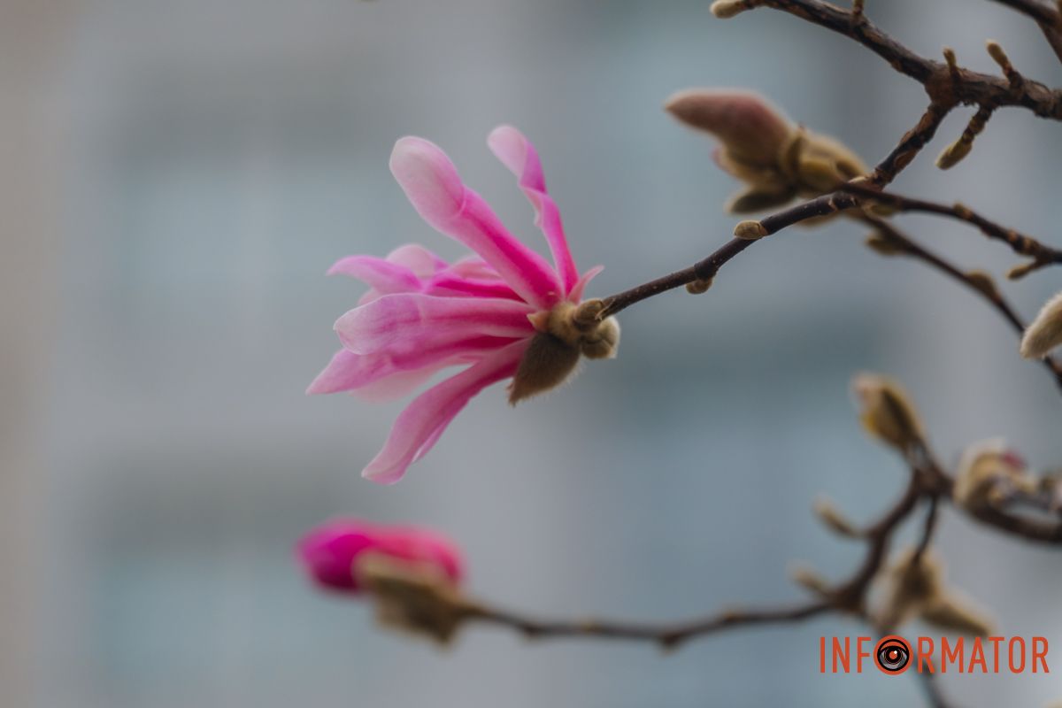 Наші оператори зафіксували неймовірну красу