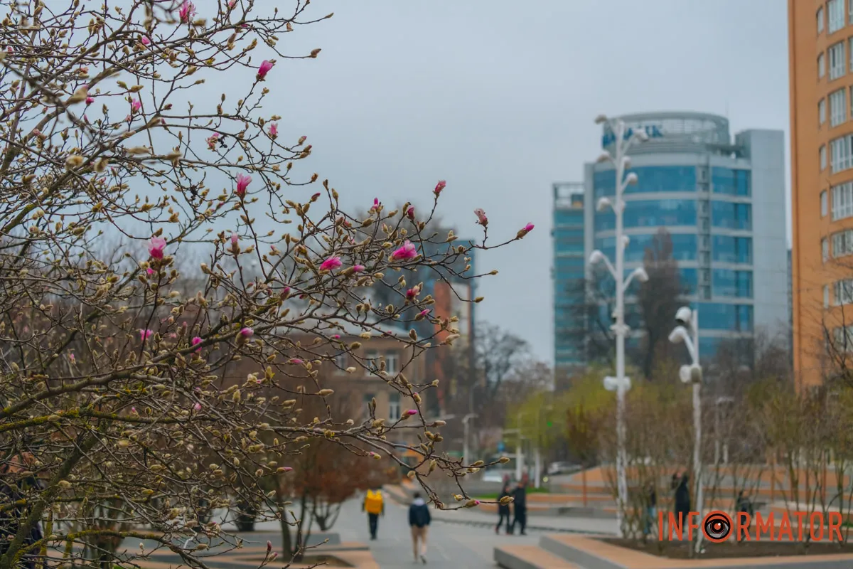 Скоро можна відкривати сезон фотосесій
