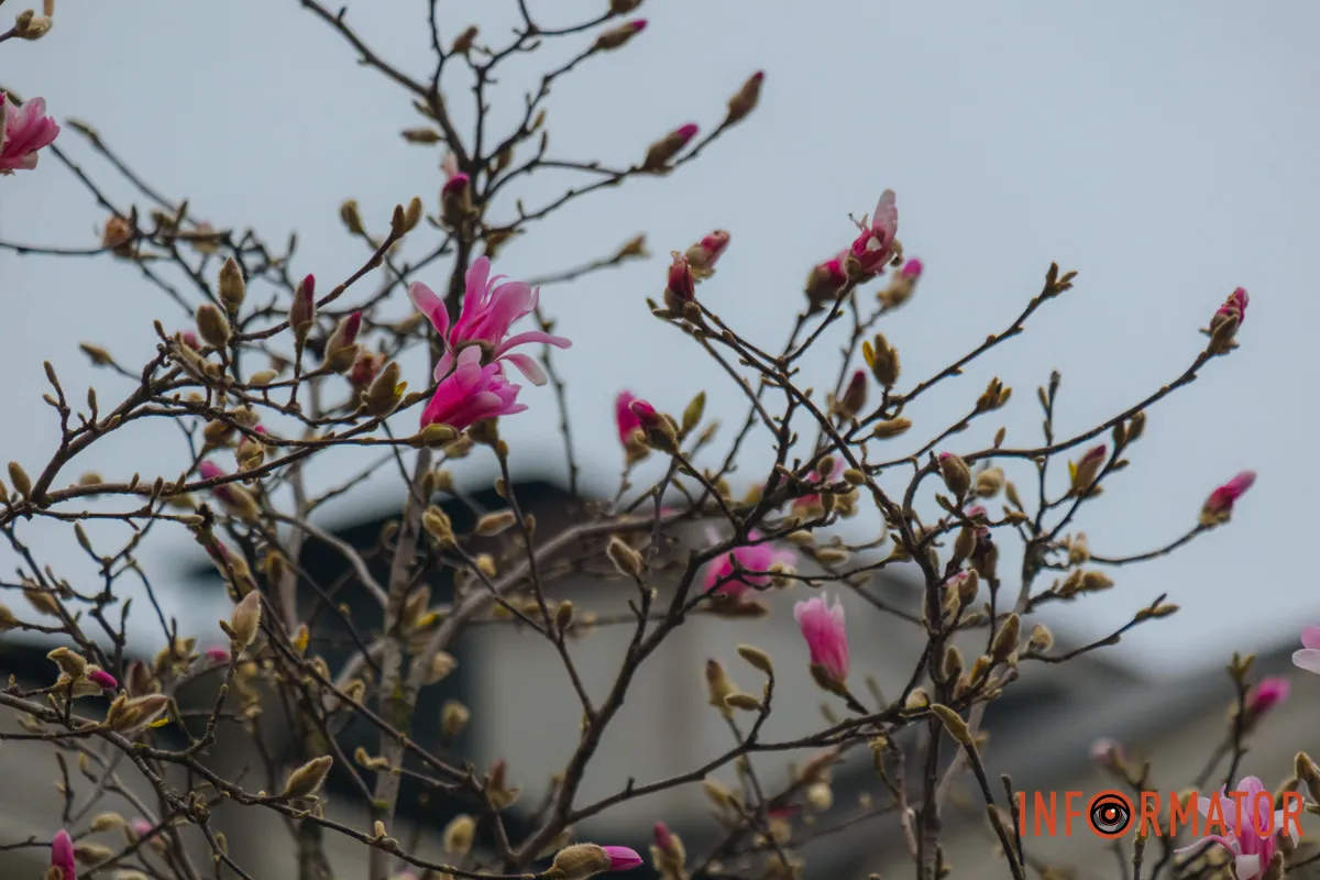 Дніпро стає ще прекраснішим