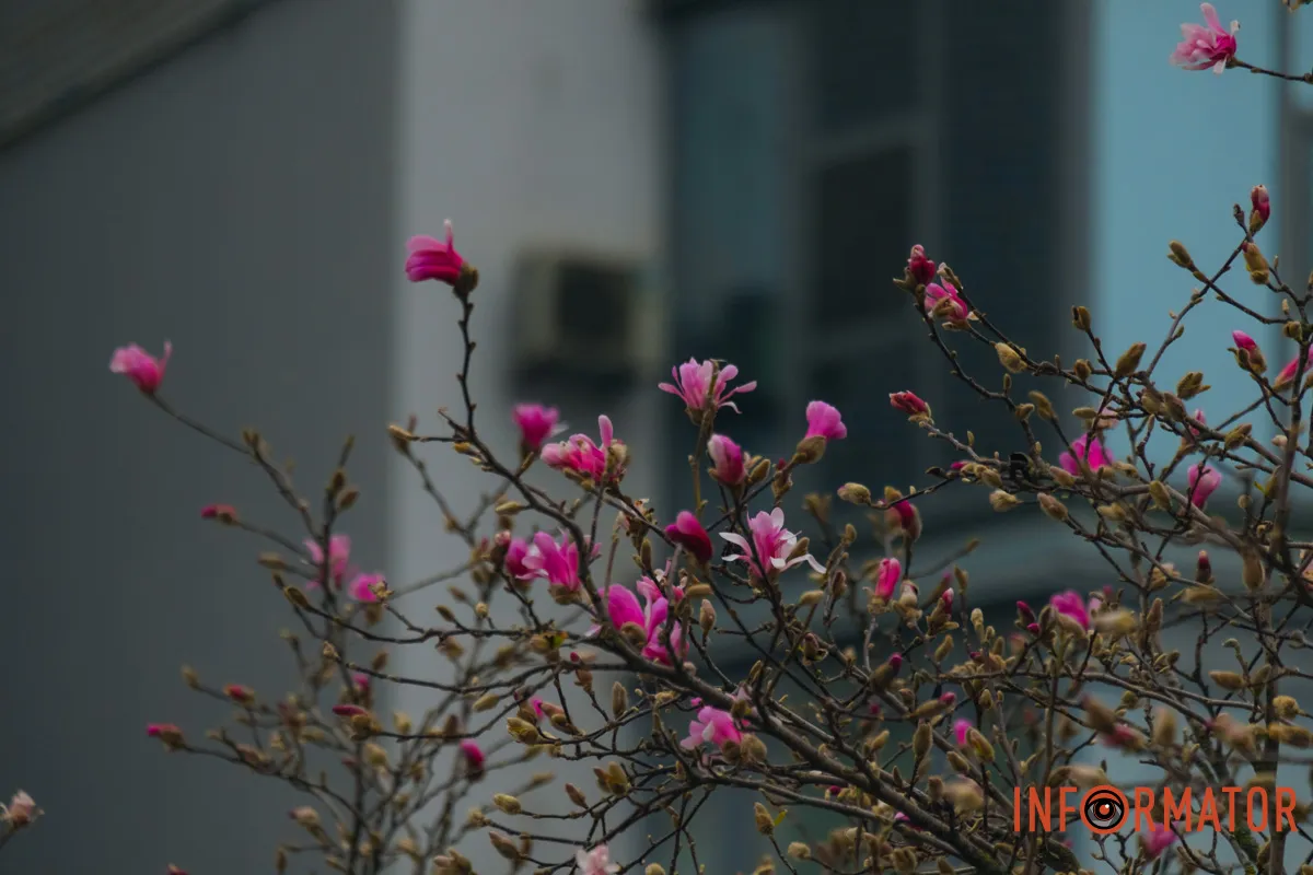 Можна зробити багато фото