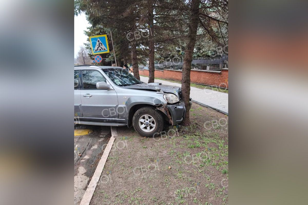 Машина врізалась у дерево