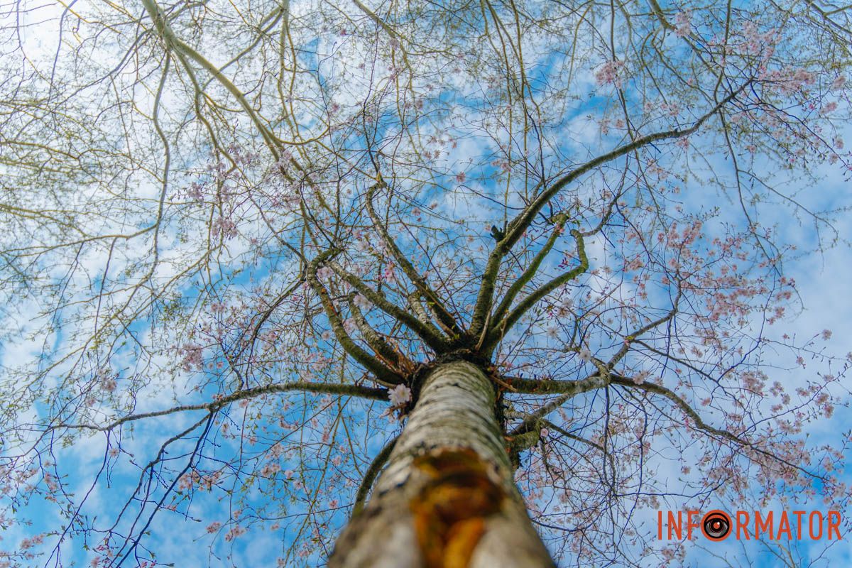 Фото: Денис Чубченко