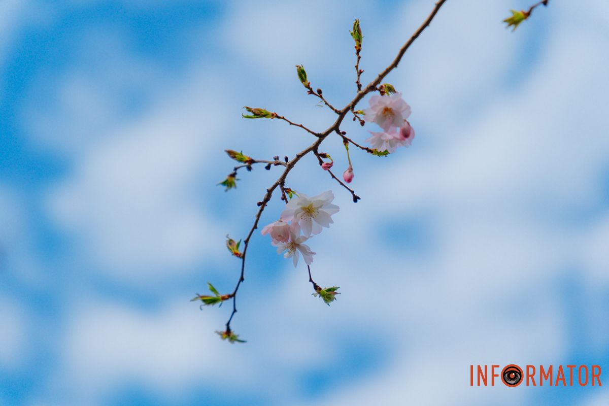 Весна пришла