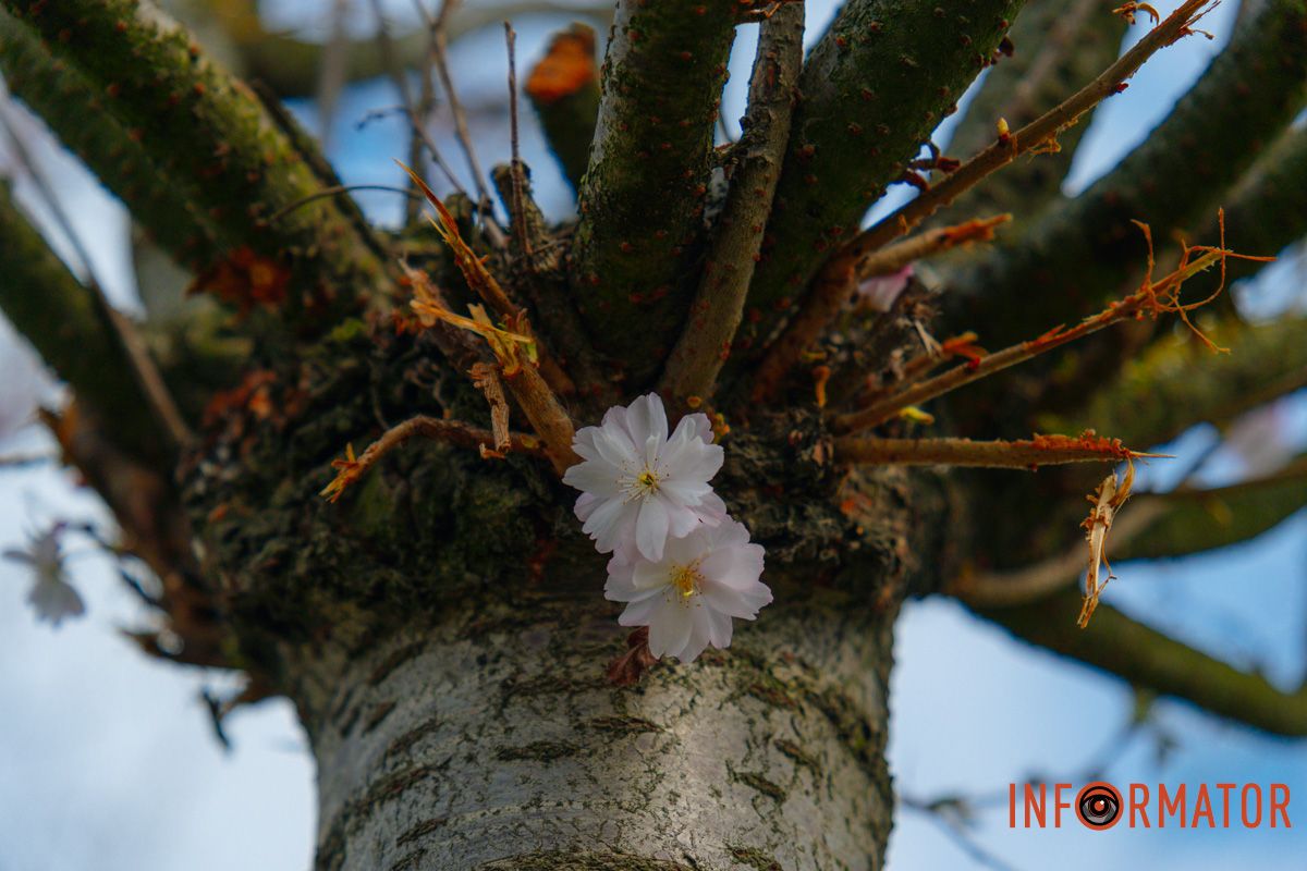 Красиво, верно?