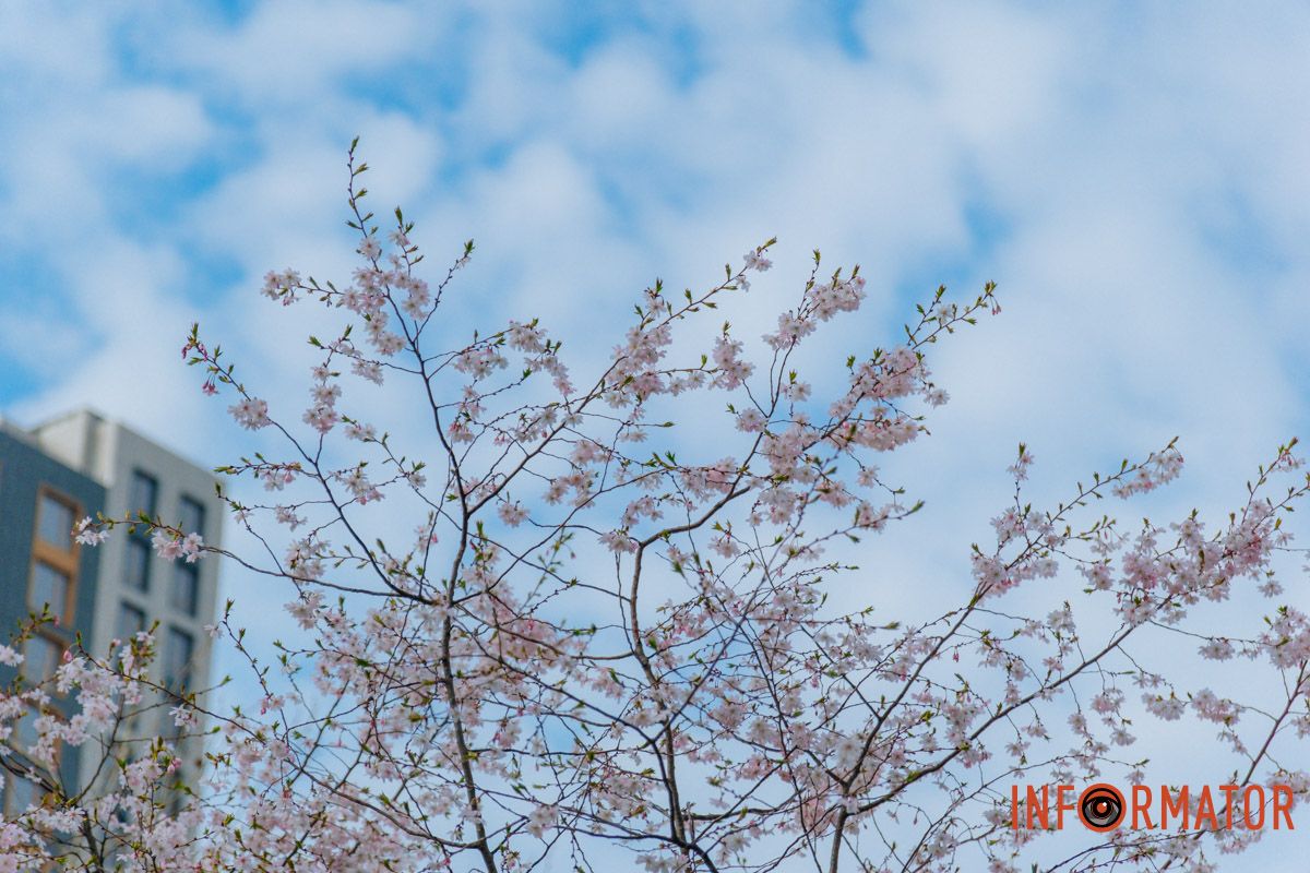 Наши операторы стараются для вас