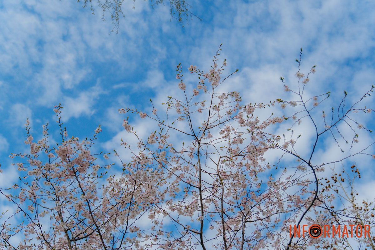 Привлекает внимание