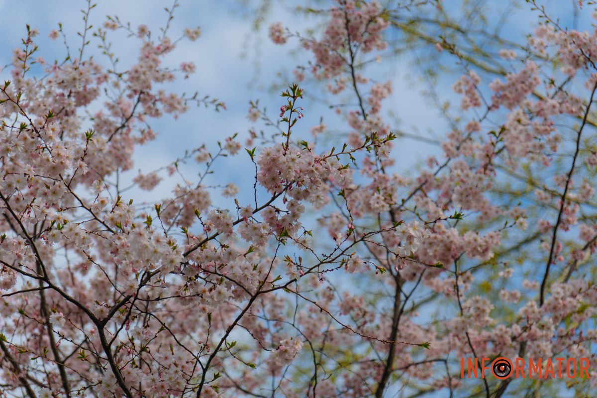 Словно с открытки