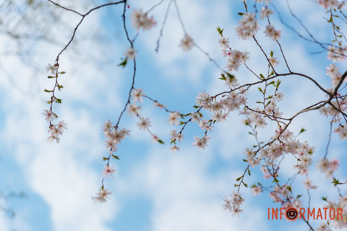 Фото, которое хочется сохранить