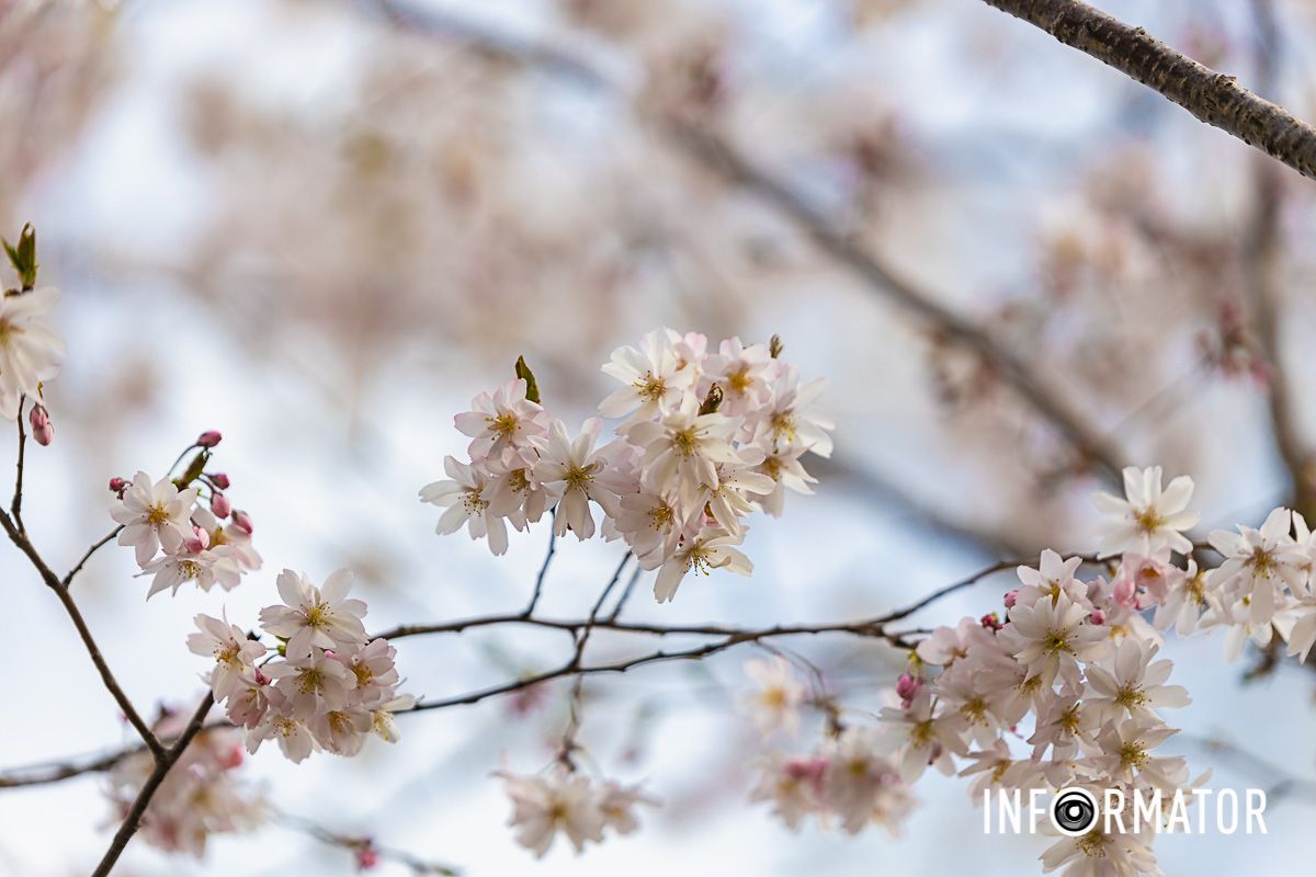 Берегите красоту природы