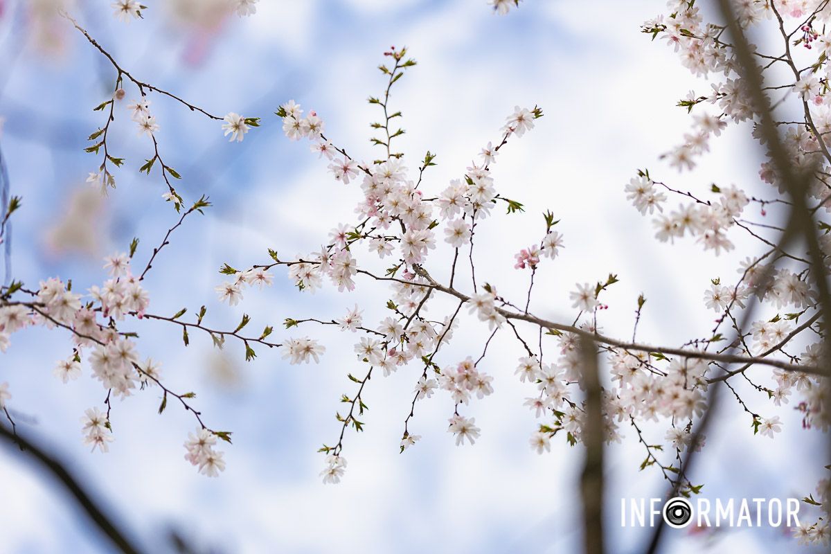 Небольшой праздник, отвлекающий от обыденности