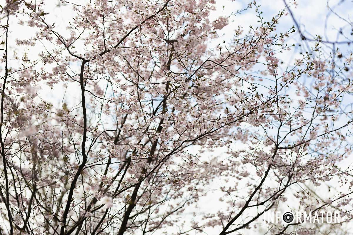 Весна здесь и сейчас