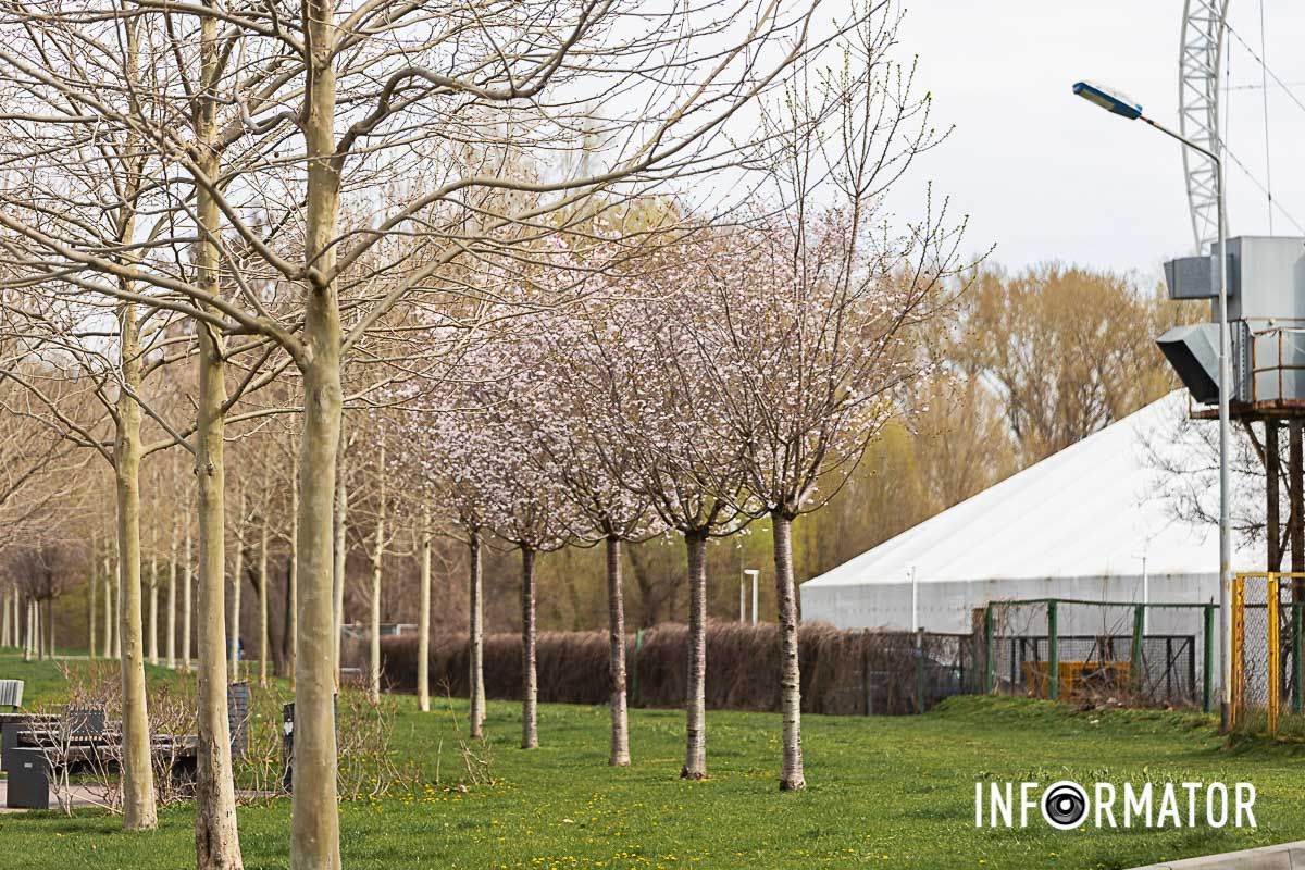 Родной город