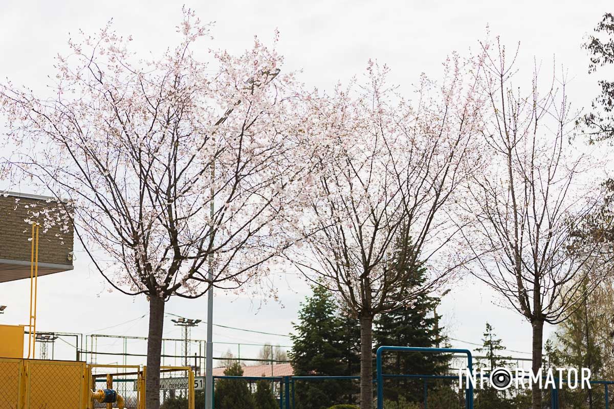 Фото: Анастасия Калюжна