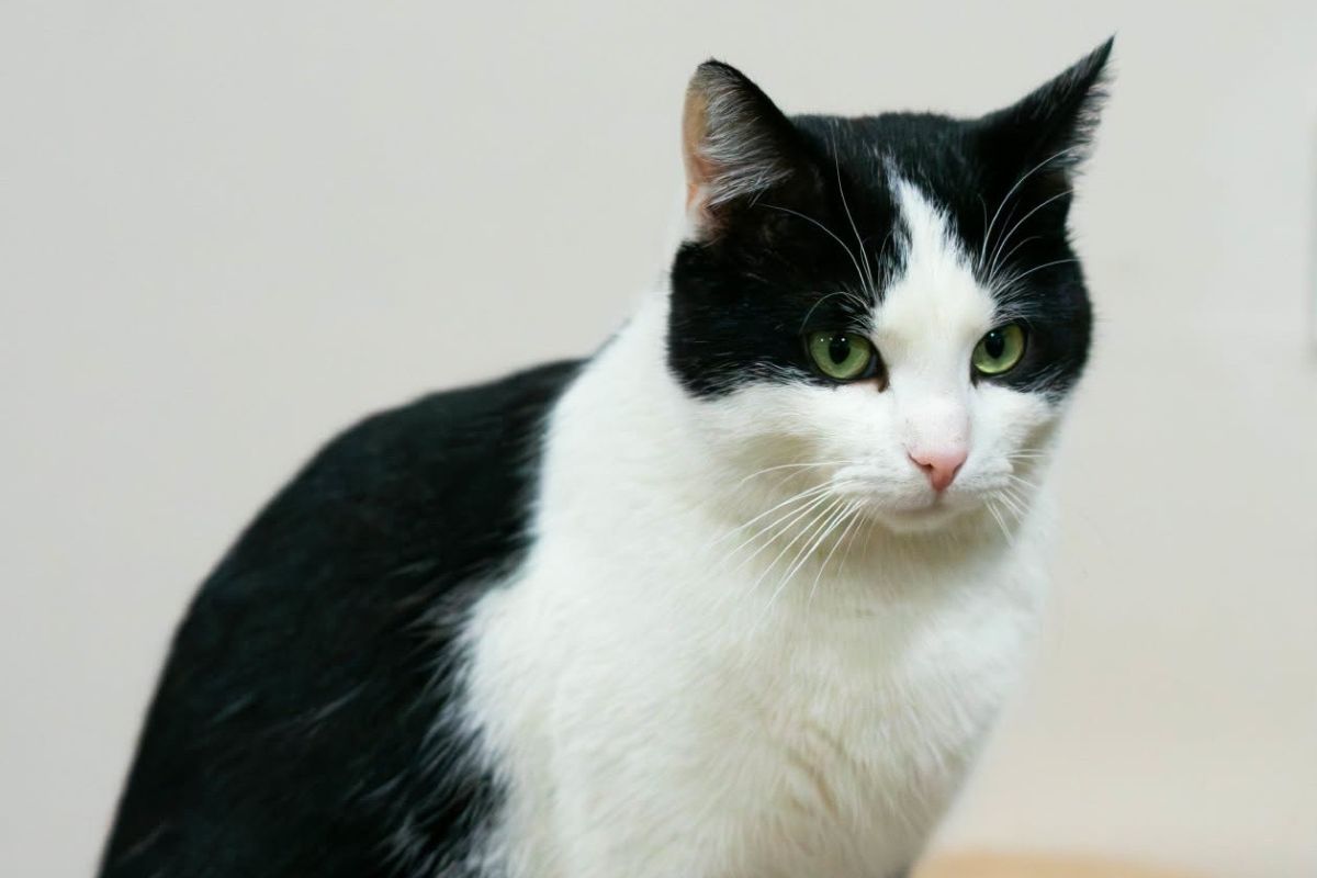 Йому потрібен дім