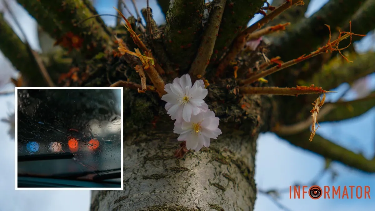 Погода на 6 квітня: у Дніпрі буде ясно, ввечері дощитиме