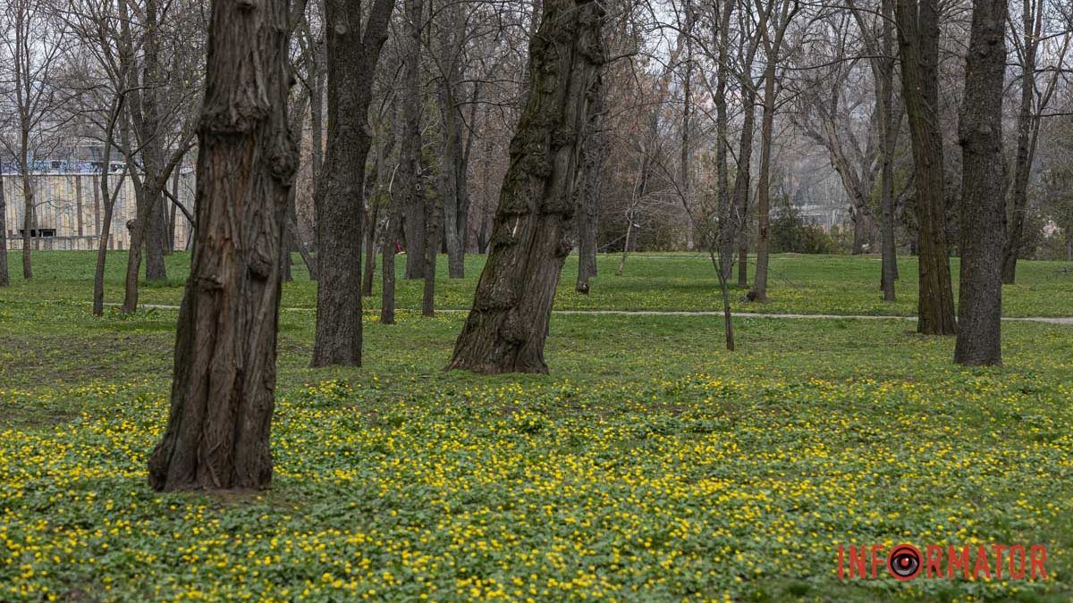 Погода на 8 апреля: в Днепре может идти дождь