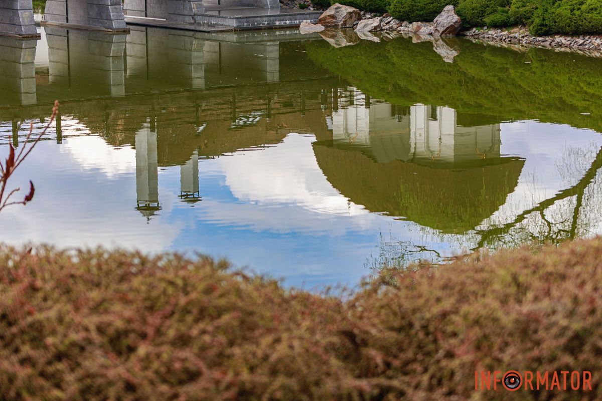 Вода у яхт-клубі "Січ" Загибель риби та нутрії на Перемозі у Дніпрі: що кажуть експерти 1