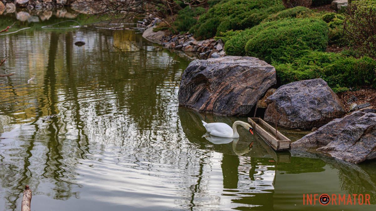 Фото: Андрій Шушпан Фото: Андрій Шушпан