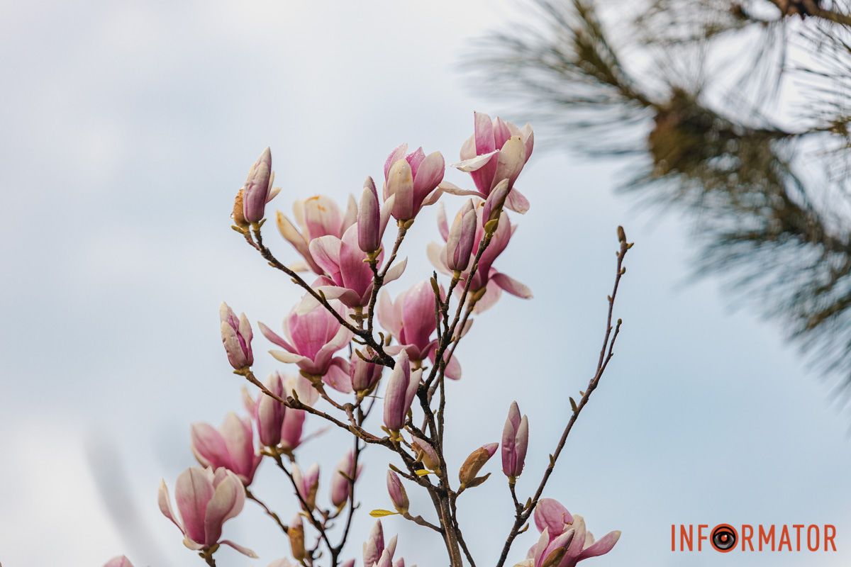 Наші оператори стараються для вас