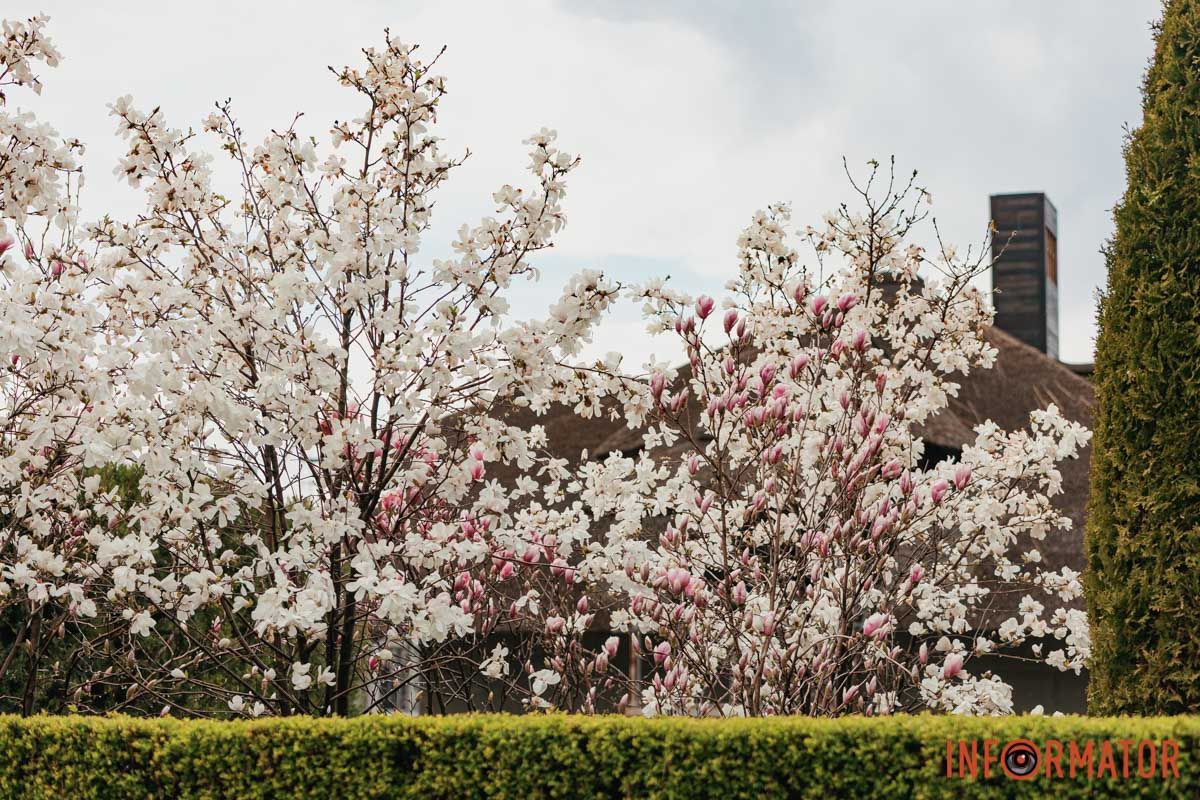 Прекрасний Дніпро