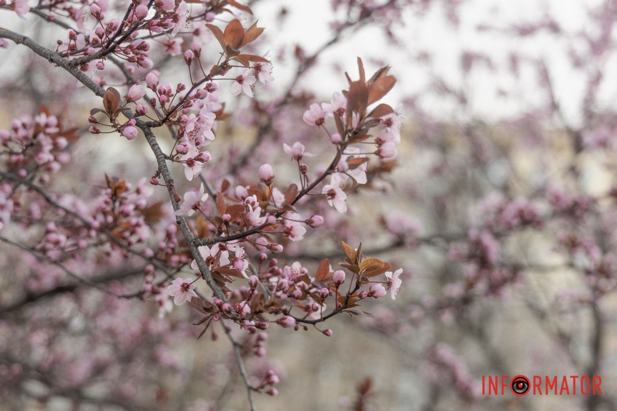 Це неймовірне та романтичне видовище