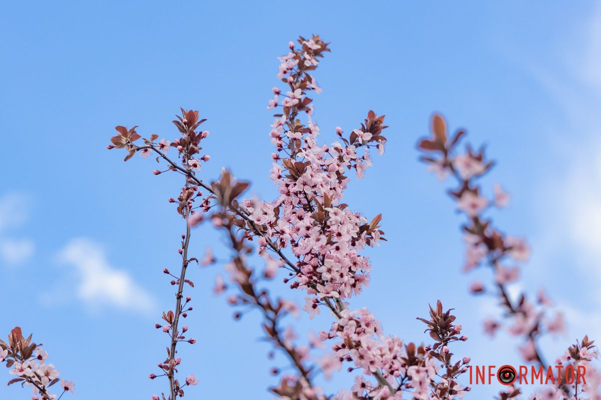 Локацію можна знайти на лівому березі Дніпра
