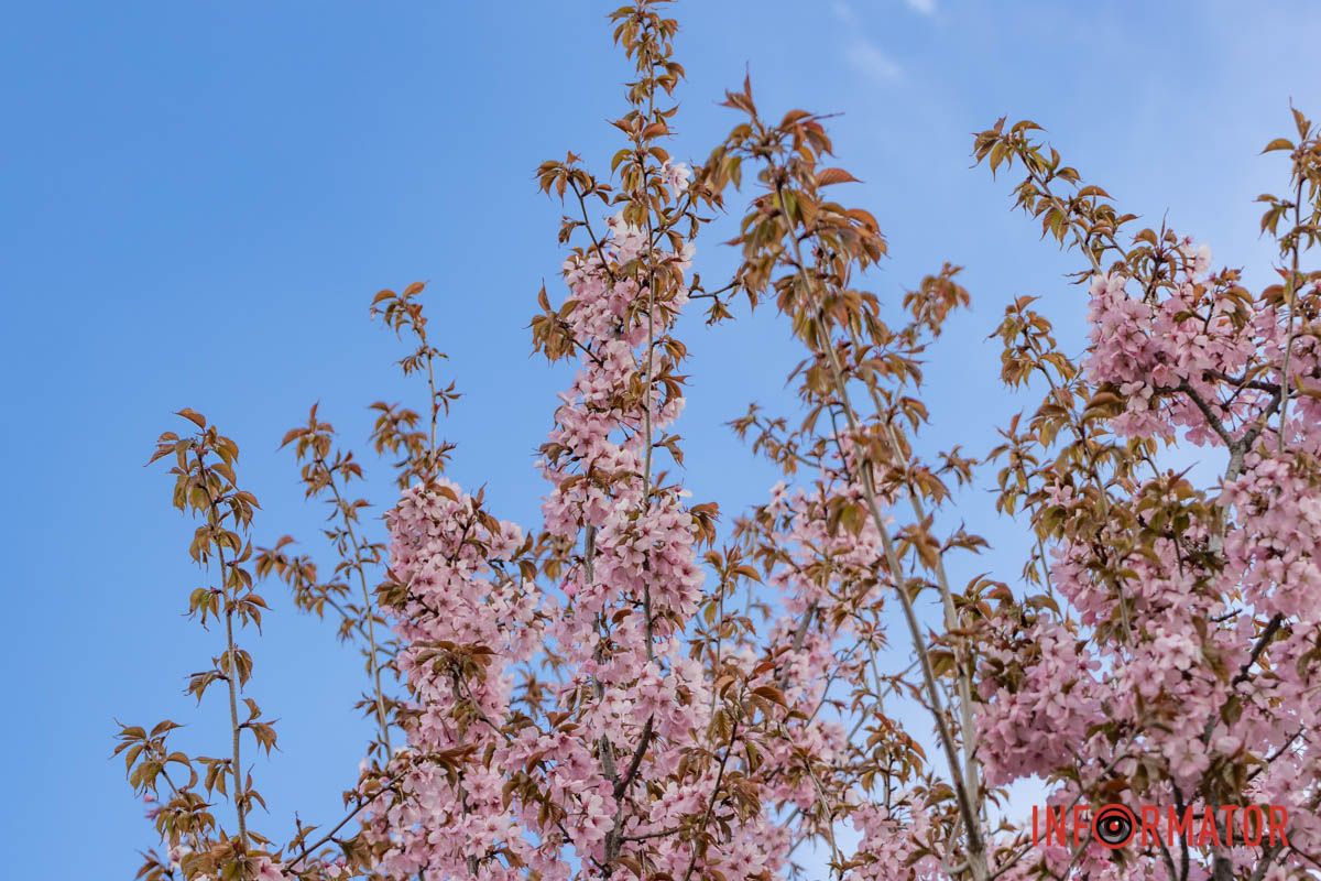 Можна зробити багато фото