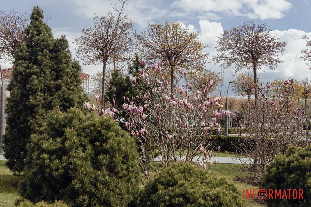 Фото: Маргарита Горбунова