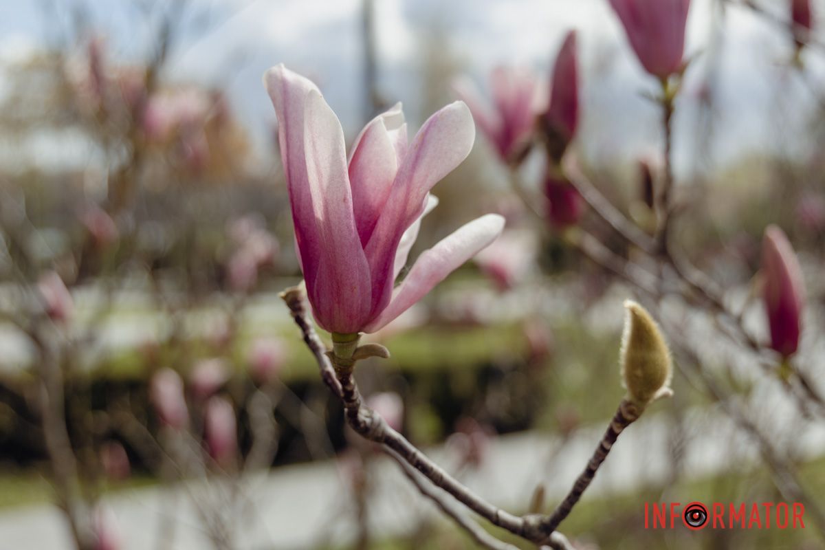 Завітайте на локацію