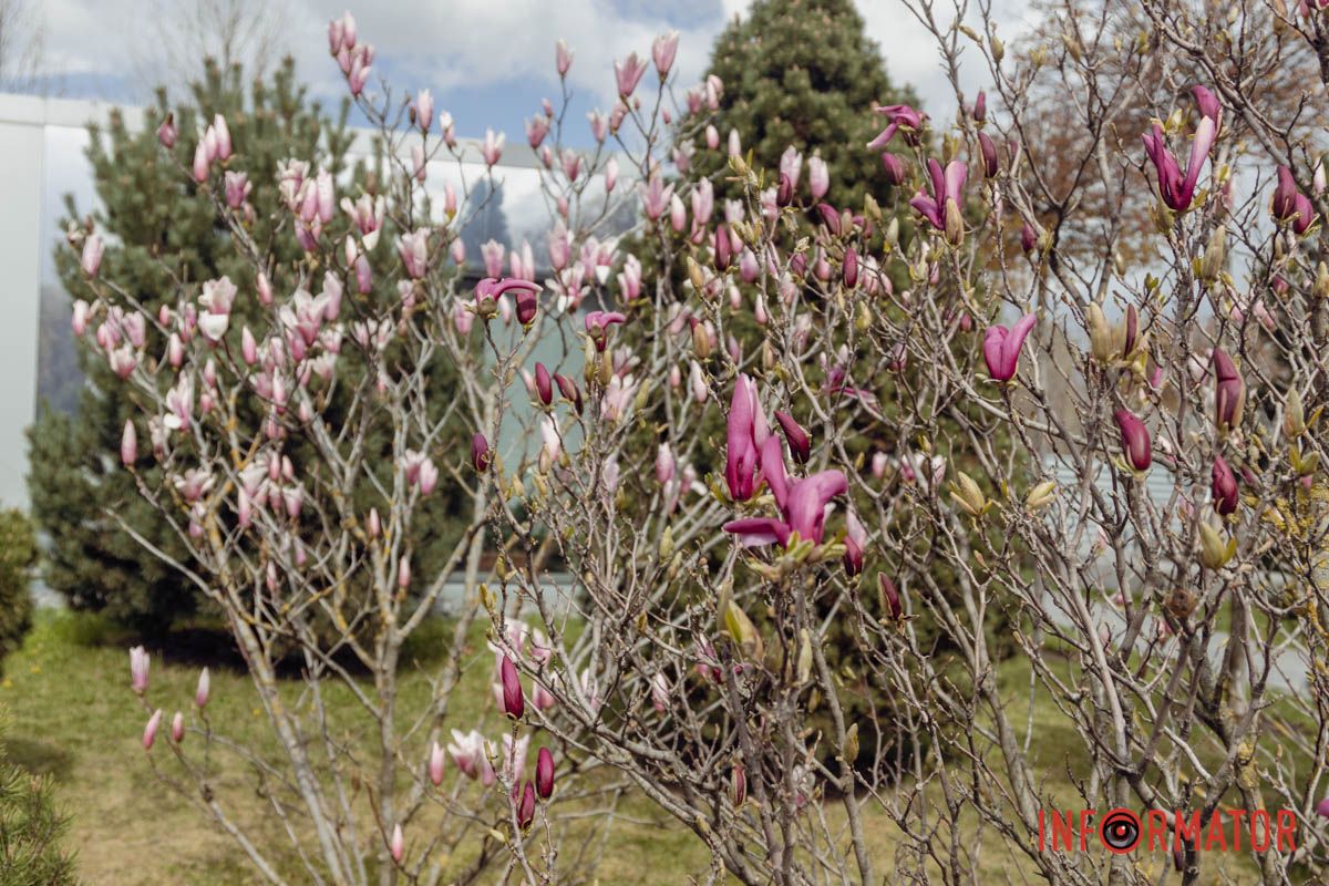 Яскраві кольори