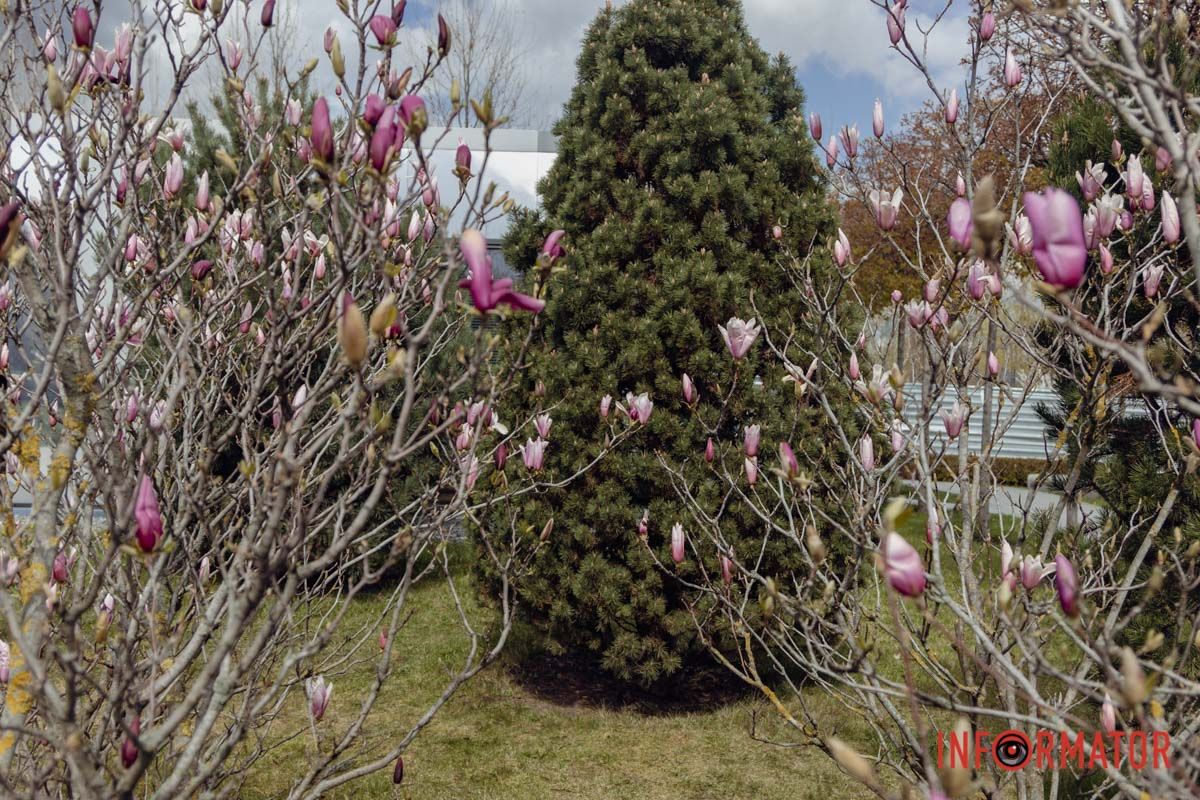 Екзотика у Дніпрі