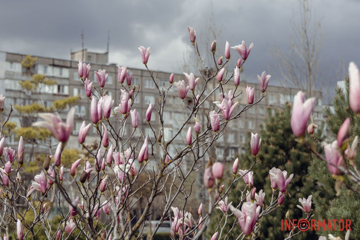 Ідеальна локація для ваших світлин
