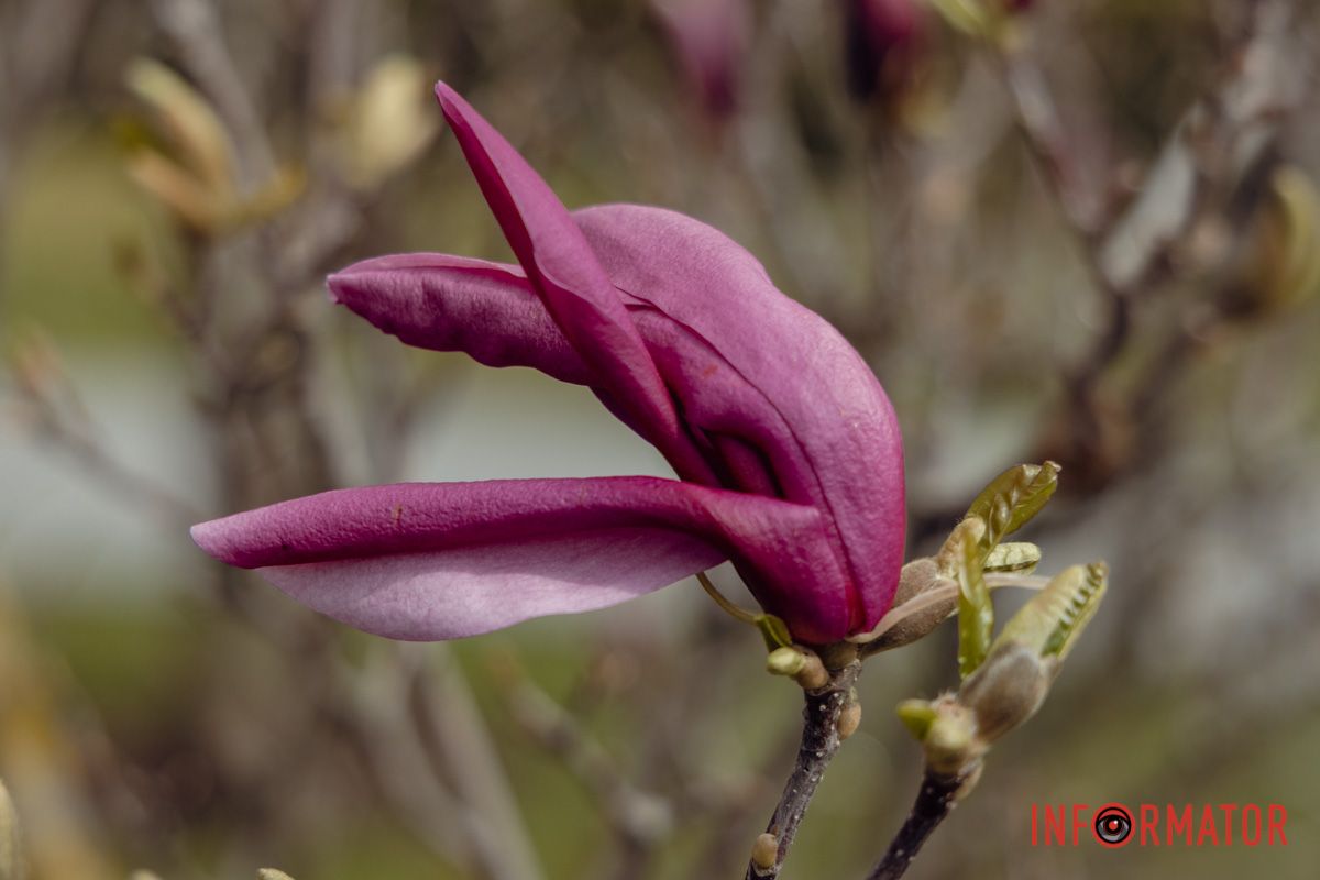 Правда красиво?