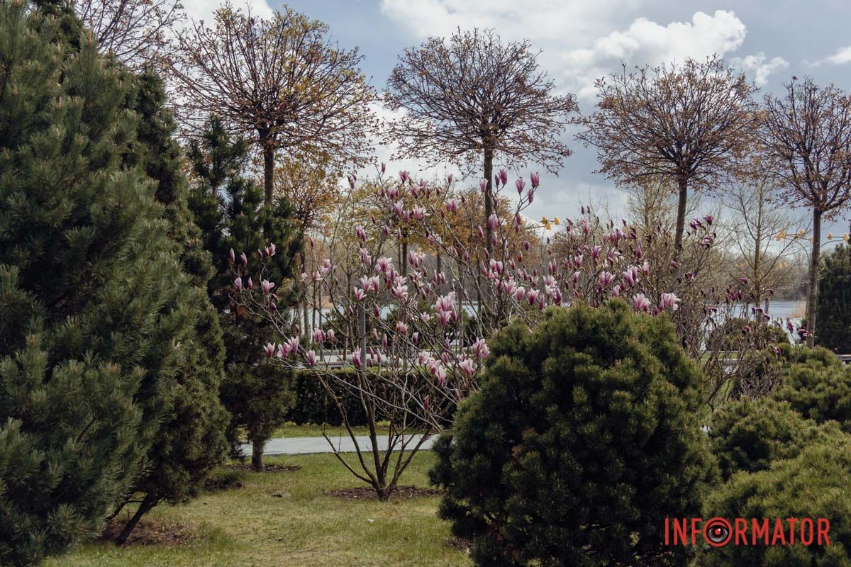 Їх складно не помітити