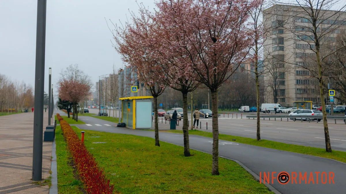 У Дніпрі планують на 3 місяці звузити Набережну Перемоги