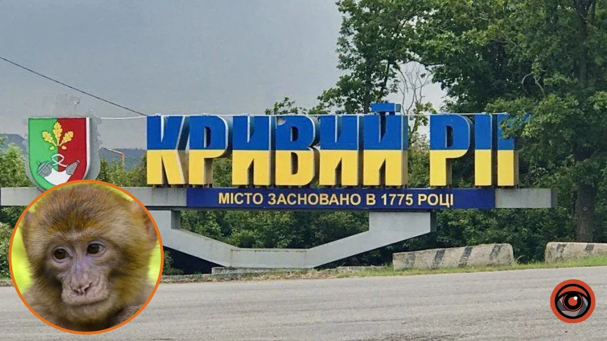 У Кривому Розі у контактному зоопарку мавка вкусила дитину: що відомо