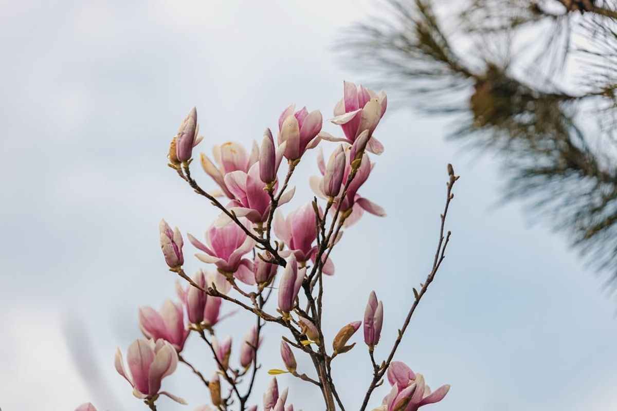 Фото: @dp.informator.ua Фото: @dp.informator.ua