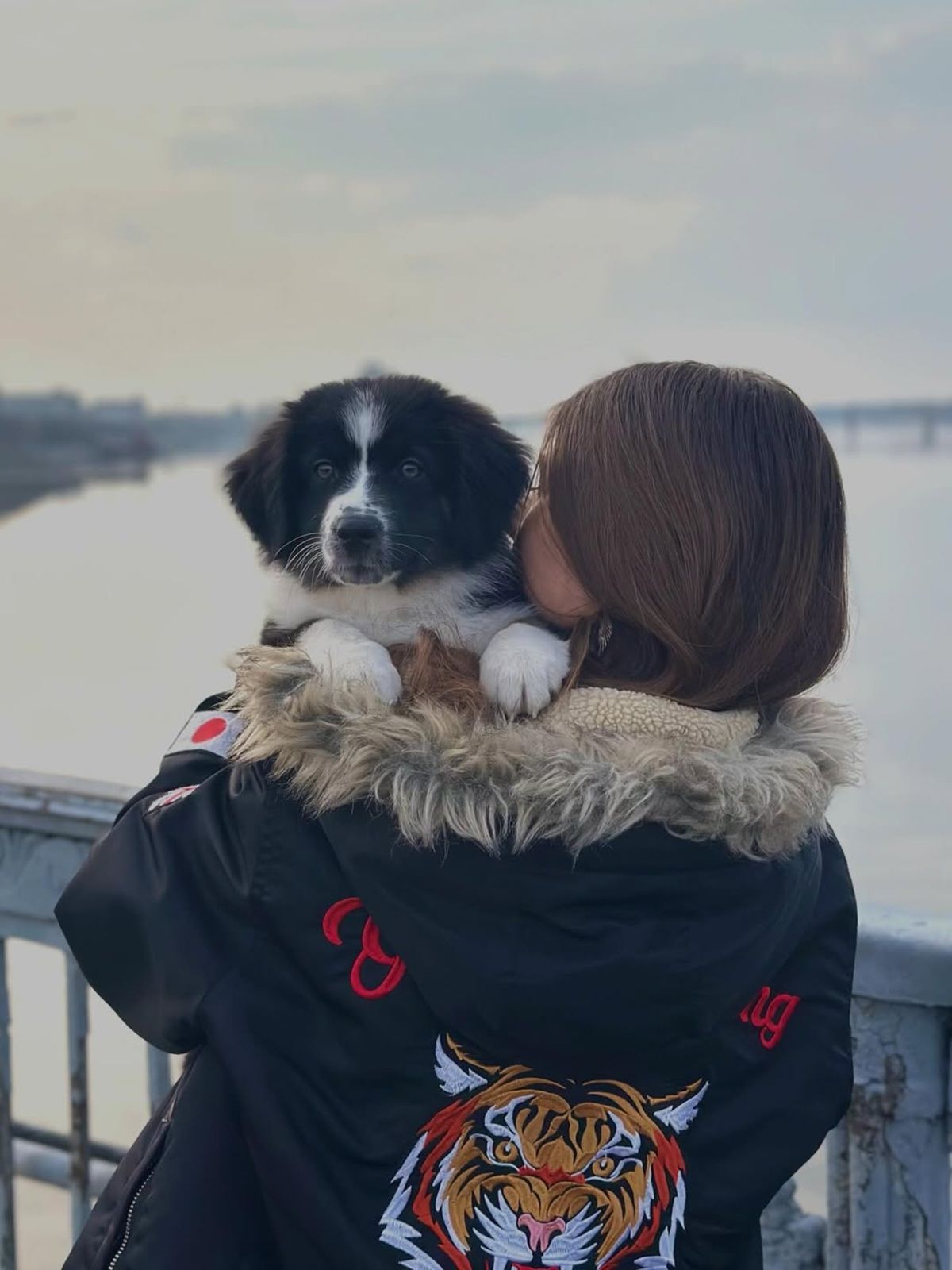 Фото: @elaywent_dogtraining Фото: @elaywent_dogtraining